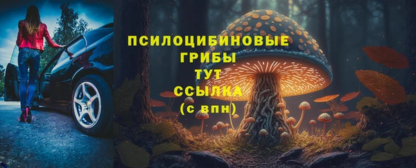 крисы Алексин
